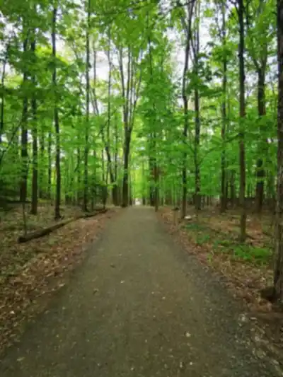 Bois Beckett hiking trail - natural landscape