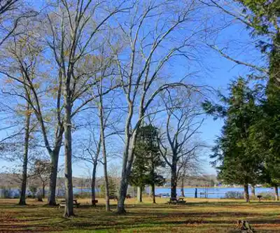 Dighton Rock State Park hiking trail - natural landscape