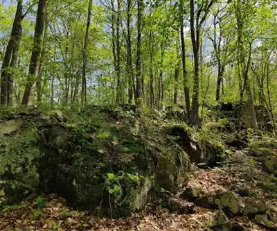 Discover Marble Rock Conservation Area in South Eastern Ontario