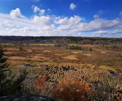 Hiking view of Marble Rock Conservation Area