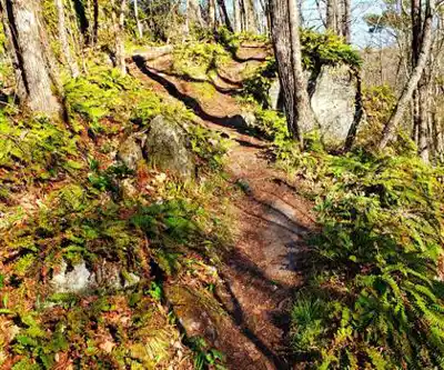 Marble Rock Conservation Area scenery - hiking