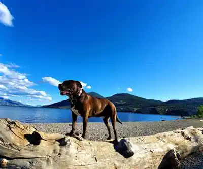 Sur les sentiers de Sun-Oka Beach Provincial Park