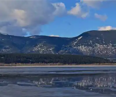 Shuswap Lake hiking trail - natural landscape