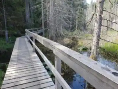 Explore Smuggler Cove Marine Provincial Park trail