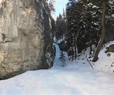 Sentier de randonnée Mount Fable - paysage naturel