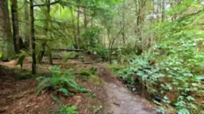 Découvrir Jug Island Beach en Montagnes Côtières de Vancouver