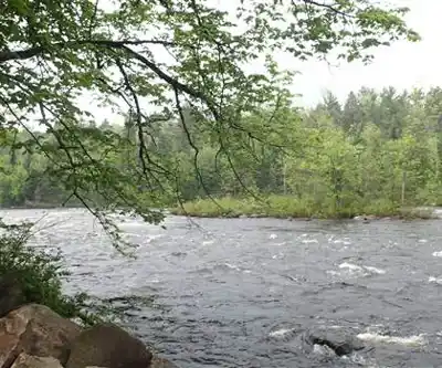Samuel de Champlain Provincial Park hiking trail - natural landscape