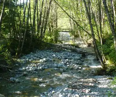 Sentier de randonnée Lake Buntzen - paysage naturel