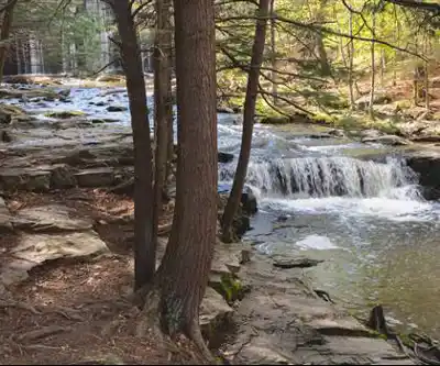 Falling Brook hiking trail - natural landscape