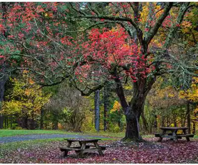 Catherine Valley Trail (Bicycle Trail and Hiking) hiking trail - natural landscape