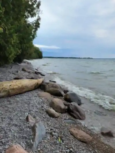 Sentier de randonnée Sibbald point provincial park - paysage naturel