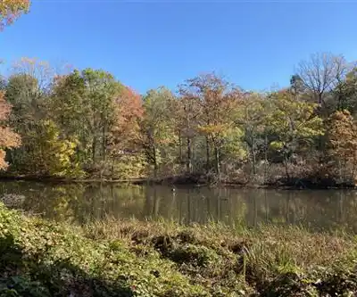 Sentier de randonnée Tibbetts Brook Park - paysage naturel