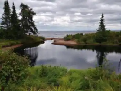Nature walk at Parc National De La Pointe-taillon