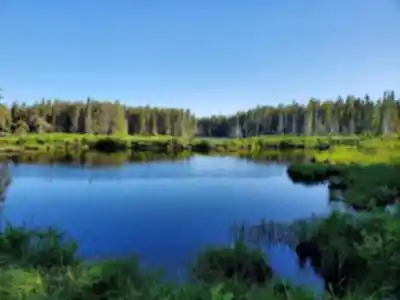 Discover Parc National De La Pointe-taillon in Saguenay - Lac-Saint-Jean