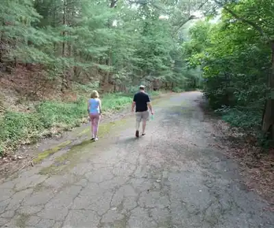 Bare Cove Park hiking trail - natural landscape