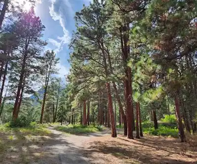 Discover Monck Provincial Park in Thompson Okanagan