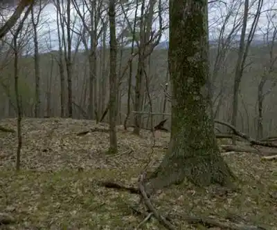 Boston Lot hiking trail - natural landscape