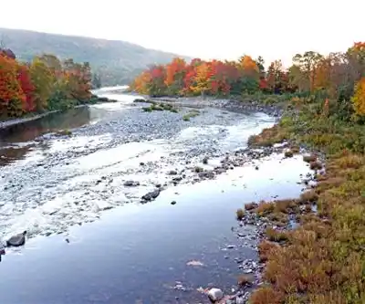 Sentier de randonnée Cabot Trail Rd - paysage naturel