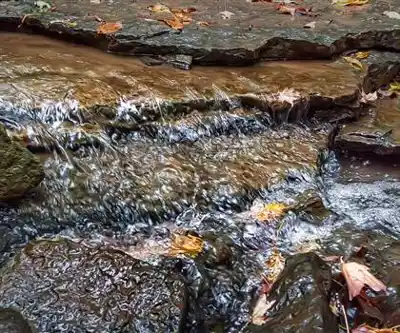 Sentier de randonnée Borer's Falls - paysage naturel