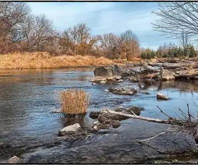 Meadowvale Conservation Area hiking trail - natural landscape