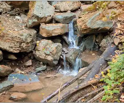 Holland Park Garden Gallery hiking trail - natural landscape