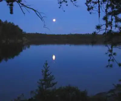 Lady Evelyn-Smoothwater Provincial Park hiking trail - natural landscape