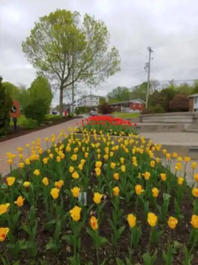 Explore Promenade du Lac-des-Nations trail
