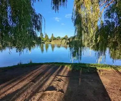 Parc Jarry hike - nature and outdoors