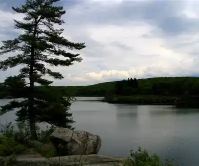 Sentier de randonnée Pine Meadow Lake - paysage naturel