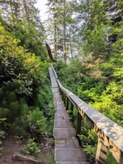Explore China Beach trail