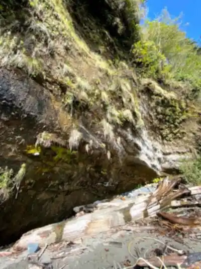 China Beach hike - nature and outdoors