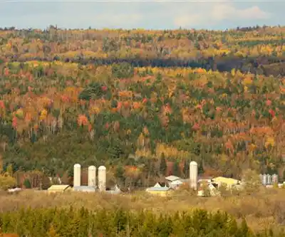 Sentier de randonnée Mactaquac Provincial Park - paysage naturel