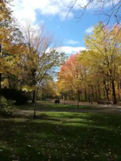 Discover Parc Angrignon in Montréal