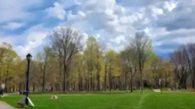 Hiking view of Parc Angrignon