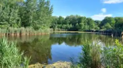 Parc Angrignon hiking trail - natural landscape