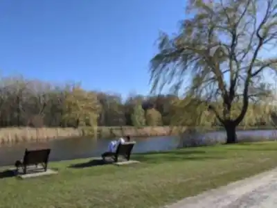 Parc Angrignon hike - nature and outdoors