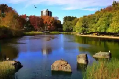 Sentier de randonnée Parc La Fontaine - paysage naturel