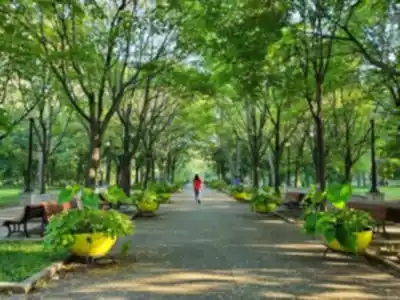 Randonnée Parc La Fontaine - nature et plein air