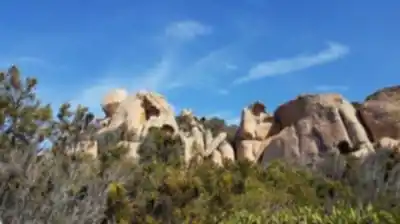 Explore Sentier Des Bruzzi trail