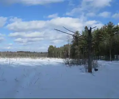 Sentier de randonnée Lowell Lake State Park - paysage naturel