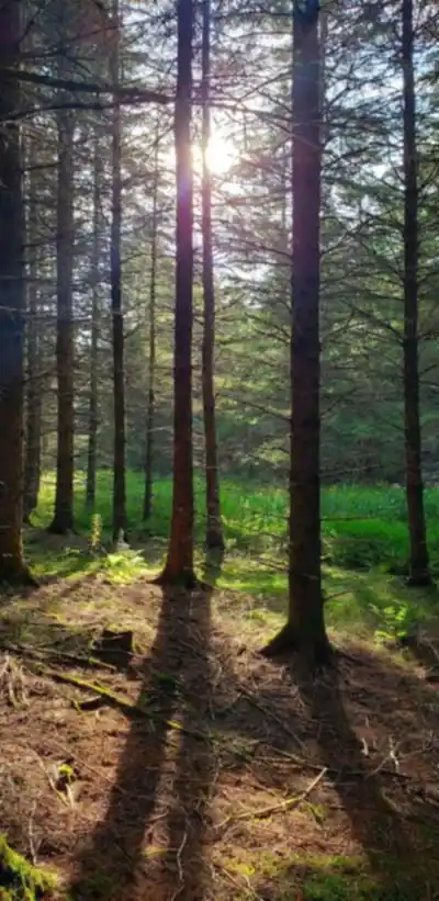 Explore Sentier des Trotteurs trail