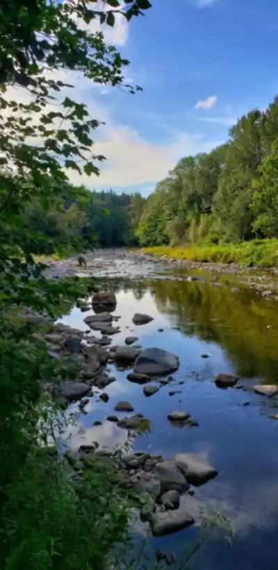 Sentier des Trotteurs hike - nature and outdoors