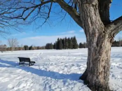 Vue en randonnée de Parc Maisonneuve