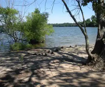 Lake Ronkonkoma County Park Home of Syag Sports hiking trail - natural landscape