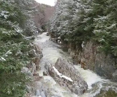 Sentier de randonnée Mill Trail - paysage naturel