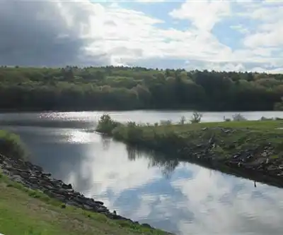 Sentier de randonnée Buffumville Lake - paysage naturel