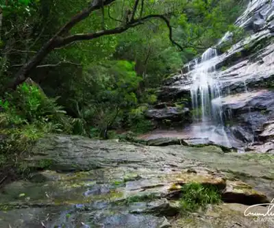 Gordon Falls hiking trail - natural landscape