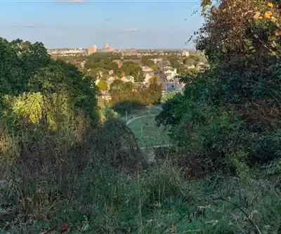 Neutaconkanut Park hiking trail - natural landscape