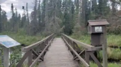 Discover Blue Lake Provincial Park in Northeastern Ontario