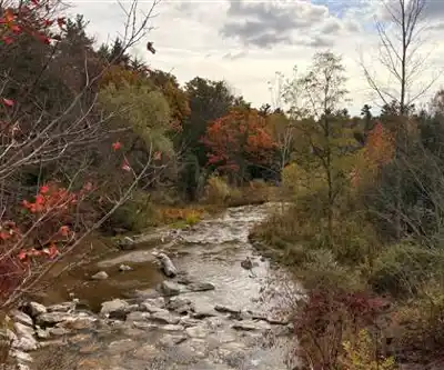Rouge National Urban Park hiking trail - natural landscape